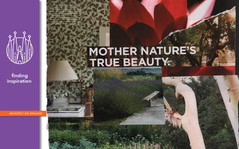 nature-inspired-design, architect on demand, advice without strings