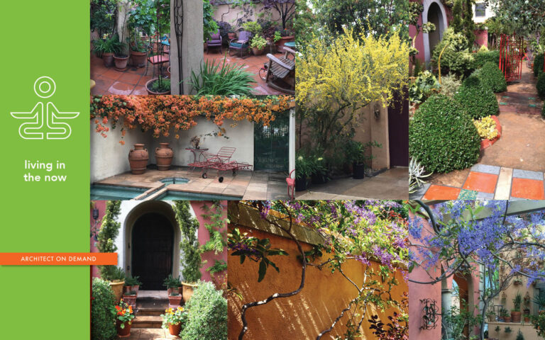 garden, Cheryl Lerner, architect on demand, advice without strings